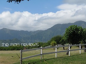 Oahu Excursions: Kualoa Ranch Tour Review