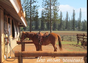 Lana’i, Hawaii Western Adventures: Horseback Riding with Cowboy Cody