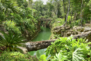 Cenote K'aak, Cancun, Mexico, Top 10 Kid-friendly Activities, #Cancun, #Mexico