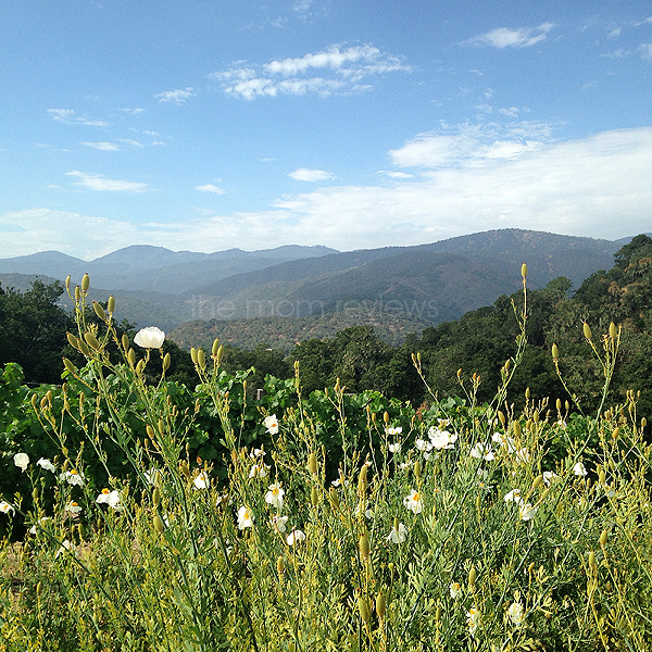 Holman Ranch, Carmel Valley