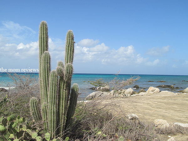 Island Life:  6 Fun Things to do in Aruba