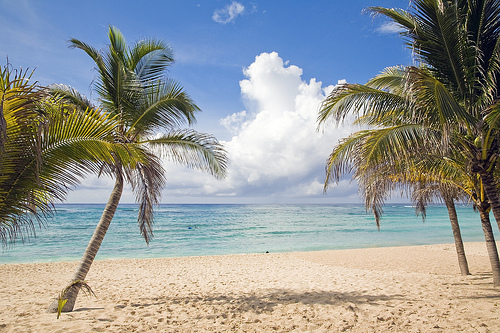 Beach Vacation