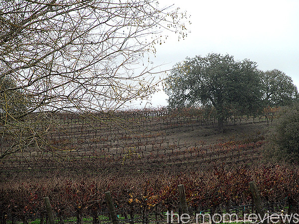 Sculpterra Winery and Sculpture Garden