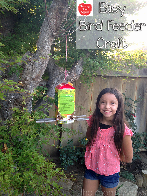 Easy Carton Bird Feeder Craft