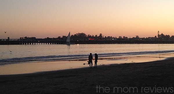 7 Reasons to Buy Season Passes to the Santa Cruz Beach Boardwalk