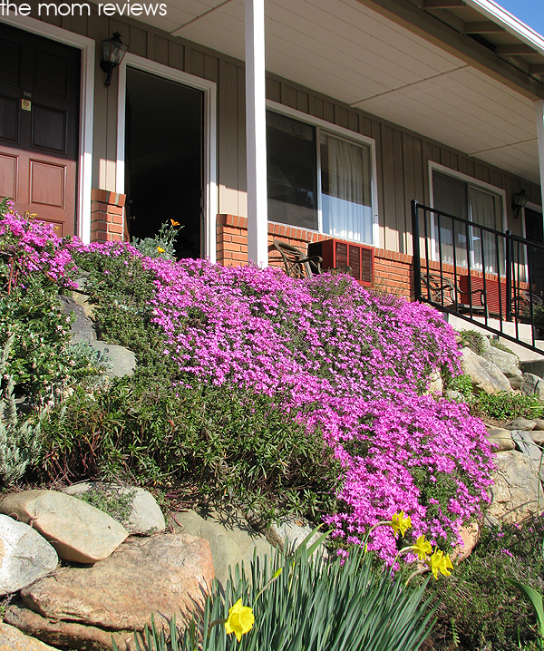 Mariposa Lodge #travel #FamilyTravel @YosemiteNation