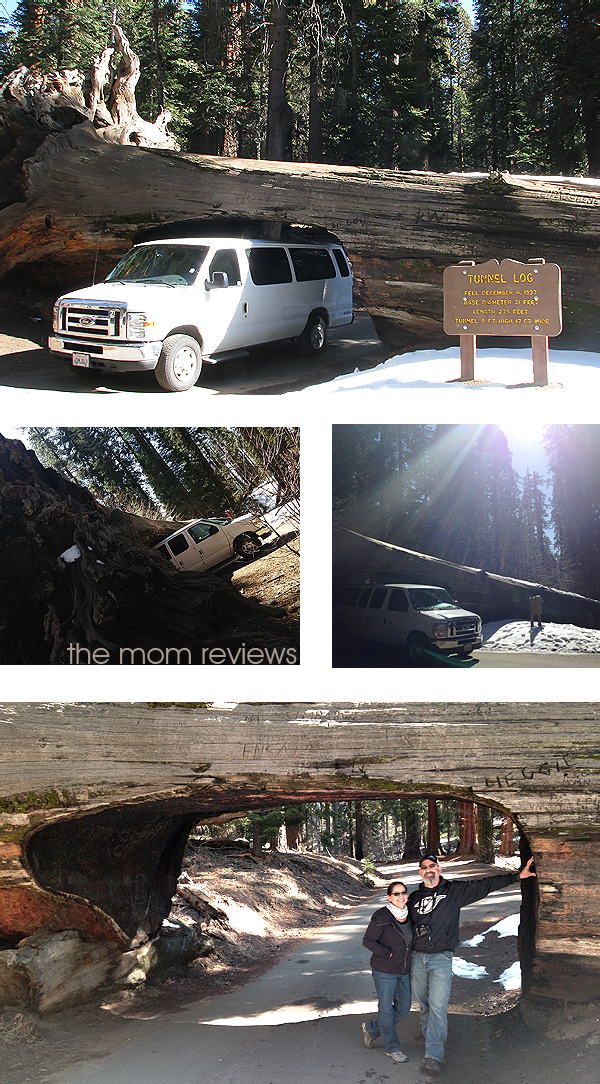 4 Must See Sights to Visit in Sequoia National Park, Tunnel Log