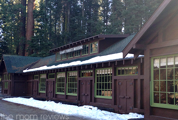 4 Must See Sights to Visit in Sequoia National Park, Giant Forest Museum