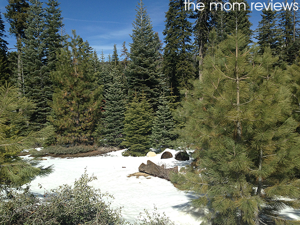 Wuksachi Lodge, Sequoia National Park