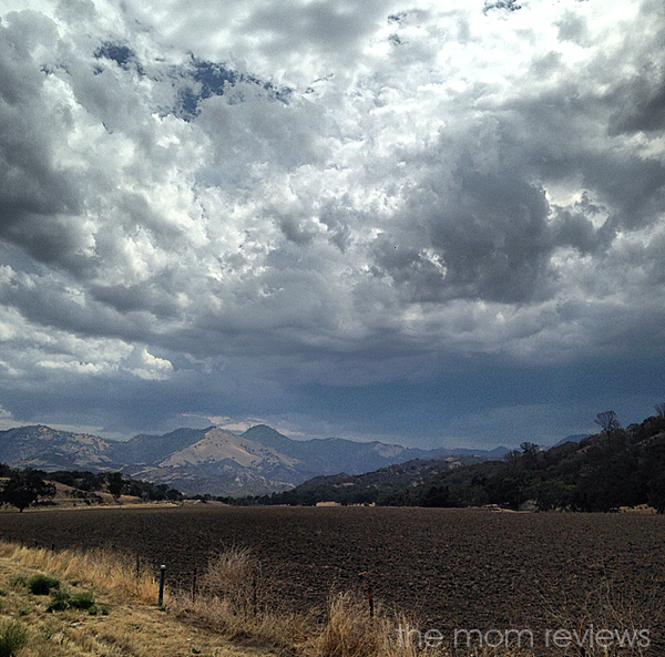 Cloud 9 Living: Best of Both Worlds with Santa Barbara Wine Country Cycling Tours