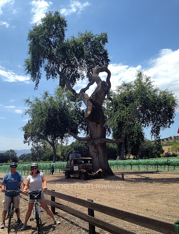 Cloud 9 Living: Best of Both Worlds with Santa Barbara Wine Country Cycling Tours