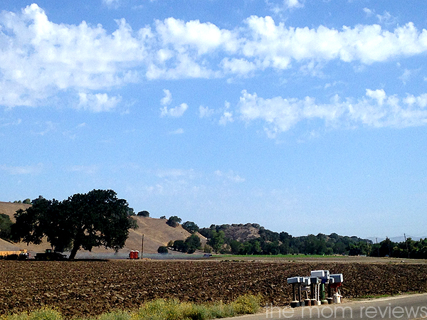 Cloud 9 Living: Best of Both Worlds with Santa Barbara Wine Country Cycling Tours