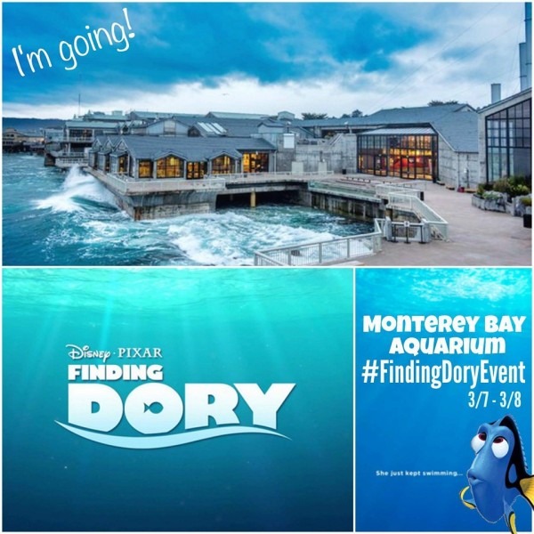 Finding Dory #FindingDoryEvent