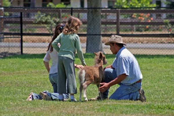 7 Family Friendly Reasons to Visit the Santa Ynez Valley this Summer