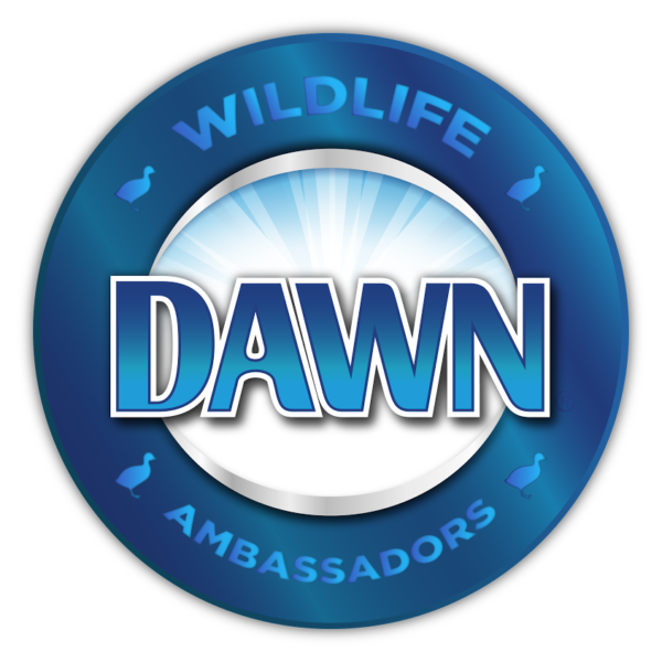 Dawn Wildlife Ambassador