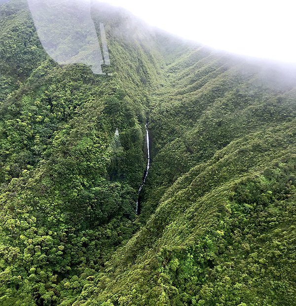 Pali Makani Helicopter Tour