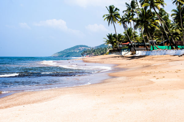 Top things to do in Goa with family